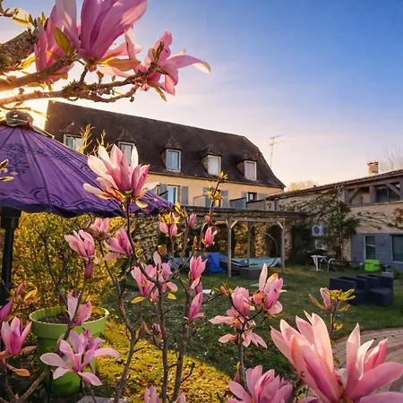 Bien-etre Aux Cypres De Marquay-calme Et Elegance-laissez-vous Porter Par Ambiance Chaleureuse Ou Chaque Instant Compte-decouvrez Un Havre De Paix Ou Nature Et Confort Se Marient Pour Vous Offrir Experience Unique- Reservez Des Aujourd' 3* Marquay